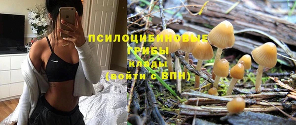 спайс Алексин